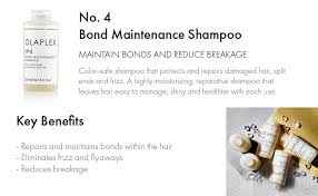 OLAPLEX Nº.4 - 250ml - The Powder Room